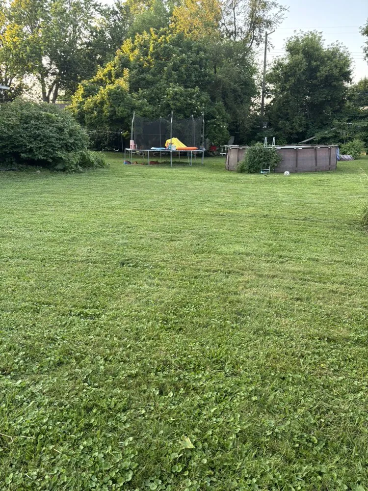 Expert garden landscaping in Eastpointe, MI by Involved Consultation