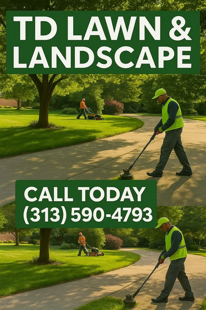 Reliable lawn mowing service experts serving Eastpointe, MI - Involved Consultation
