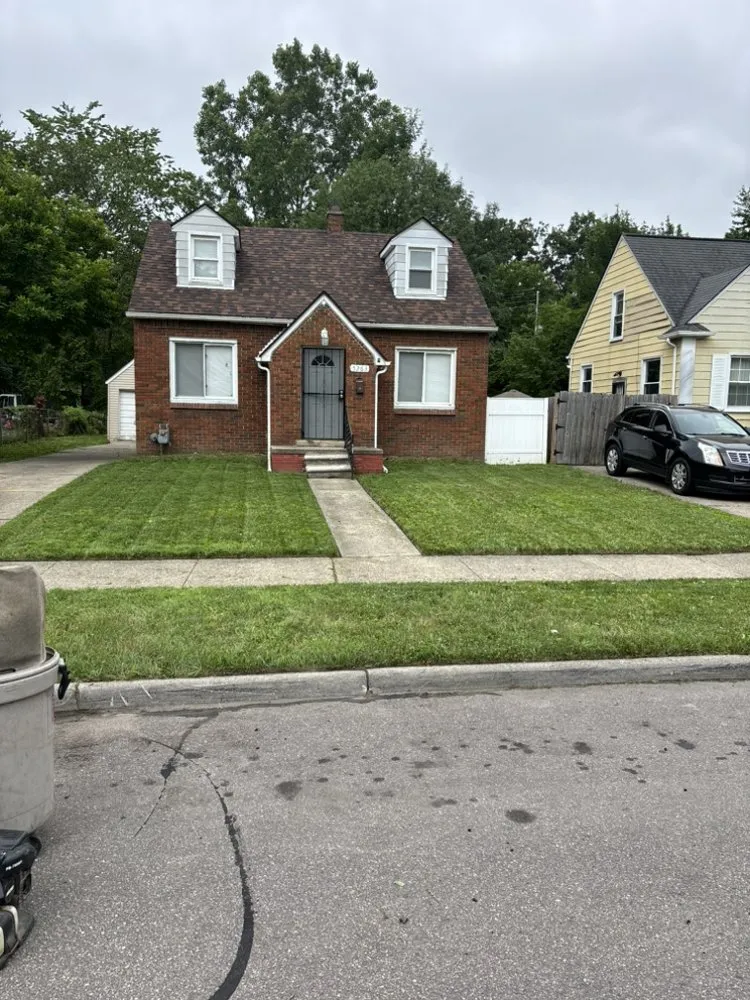 Trusted yard cleanup service in Eastpointe, MI - Involved Consultation