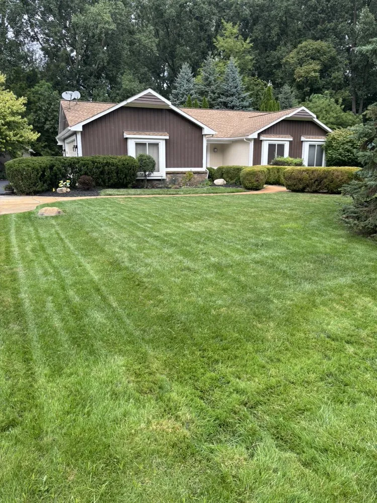 Custom outdoor landscaping in Eastpointe, MI by Involved Consultation