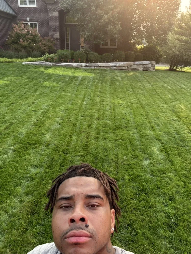 Affordable residential landscaping in Eastpointe, MI - Involved Consultation