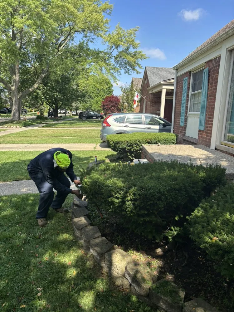 Top-rated yard cleanup service in Eastpointe, MI by Involved Consultation