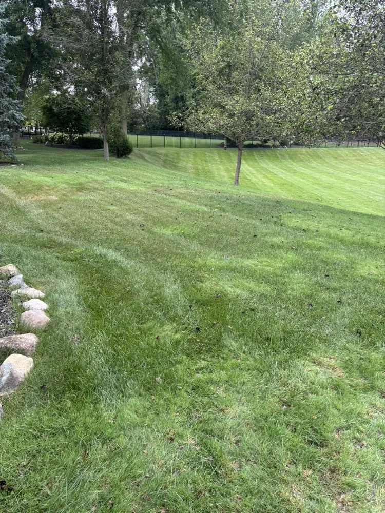 Professional lawn mowing service for year-round maintenance across Eastpointe, MI - Involved Consultation