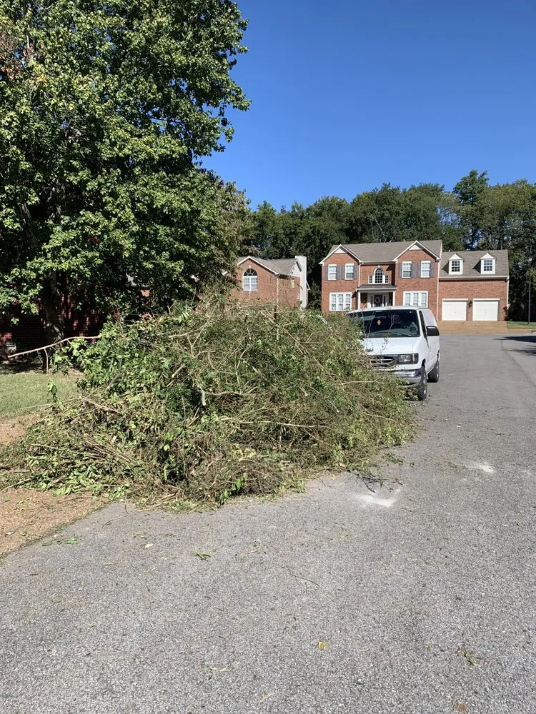 Affordable yard cleanup service near you in Franklin, TN by IO safe cleaning