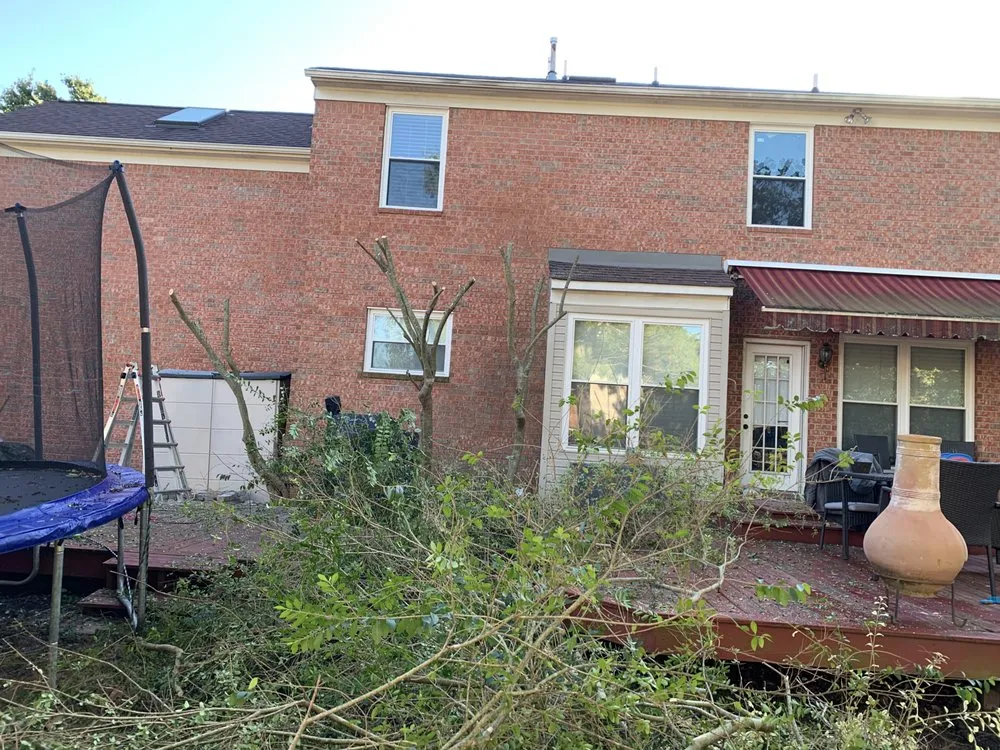 Trusted landscape installation for homes in Franklin, TN by IO safe cleaning