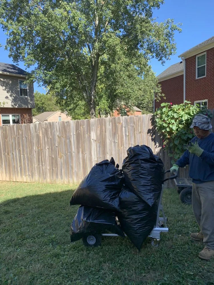 Custom landscape design experts serving Franklin, TN - IO safe cleaning