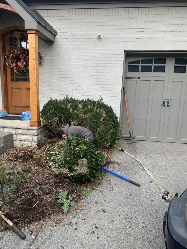 Top-rated yard cleanup service for outdoor upgrades in Franklin, TN by IO safe cleaning