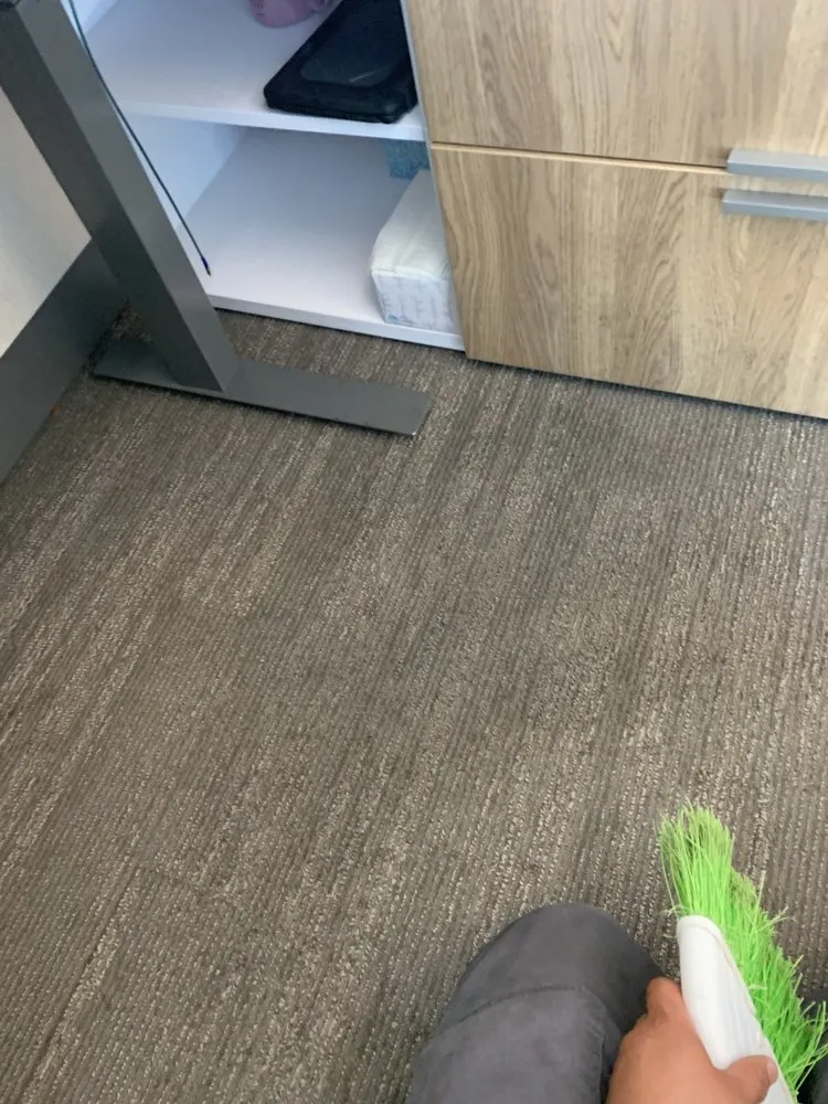 Affordable landscaping services for beautiful yards in Franklin, TN by IO safe cleaning