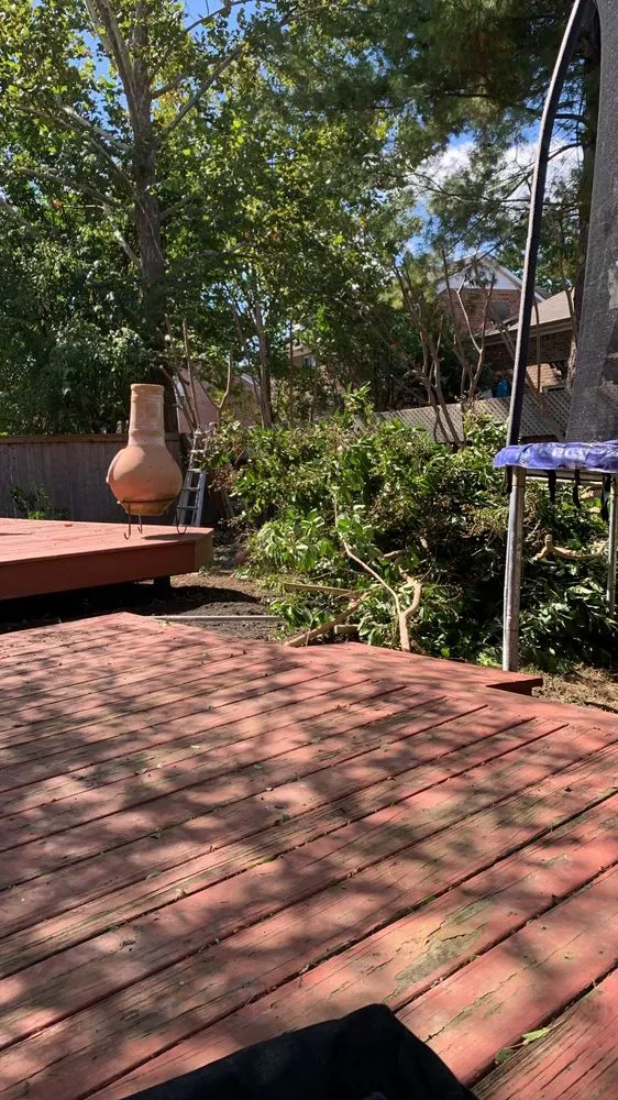 Professional lawn mowing service in Franklin, TN - IO safe cleaning