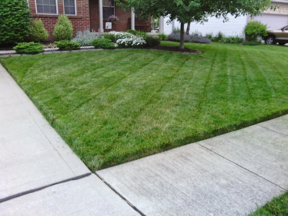 Reliable yard cleanup service in Delaware, OH - Iom Landscaping