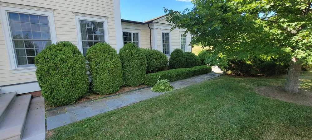 Local landscape design experts serving Croton-on-Hudson, NY - Ionic Lawns