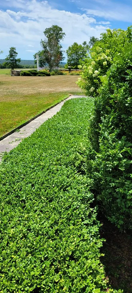Professional landscape design experts serving Croton-on-Hudson, NY - Ionic Lawns