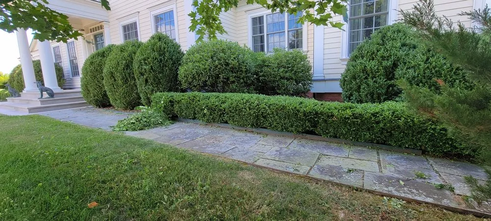 Affordable lawn mowing service for year-round maintenance across Croton-on-Hudson, NY - Ionic Lawns