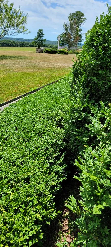 Trusted lawn mowing service in Croton-on-Hudson, NY by Ionic Lawns