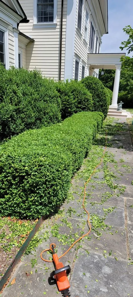 Expert landscape installation in Croton-on-Hudson, NY - Ionic Lawns