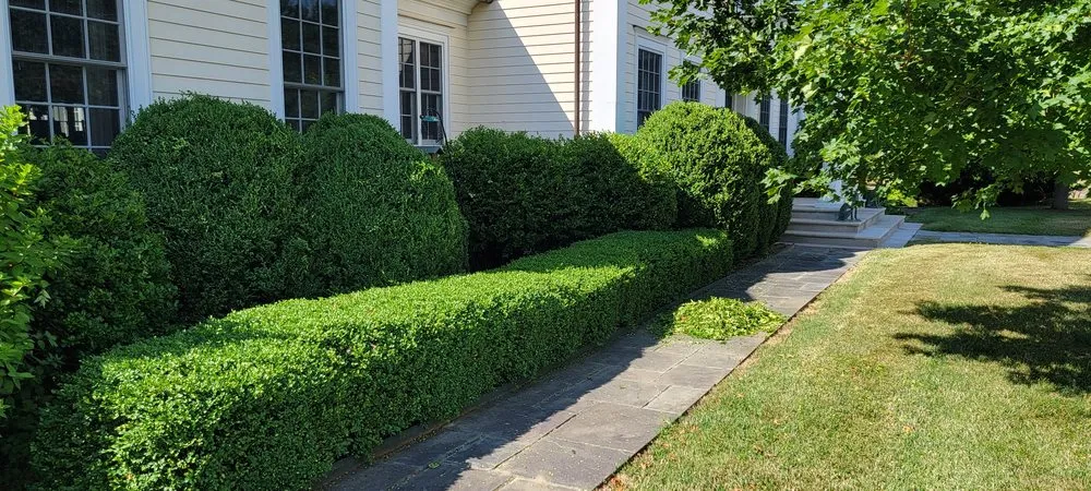 Expert residential landscaping near you in Croton-on-Hudson, NY by Ionic Lawns