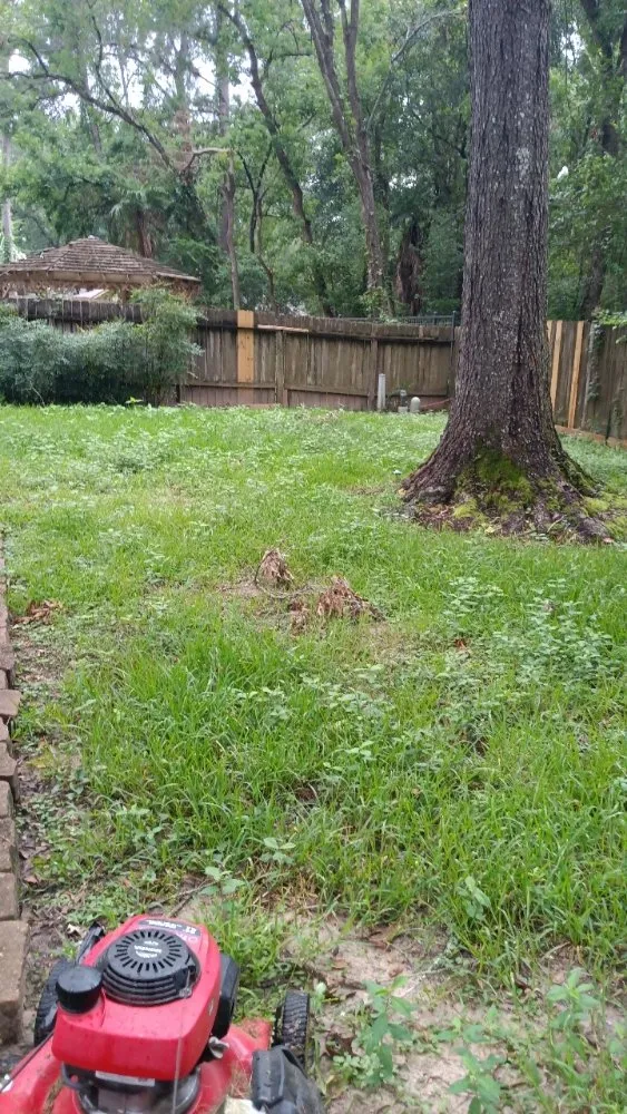 Professional yard maintenance in Houston, TX - Iopez Landscaping