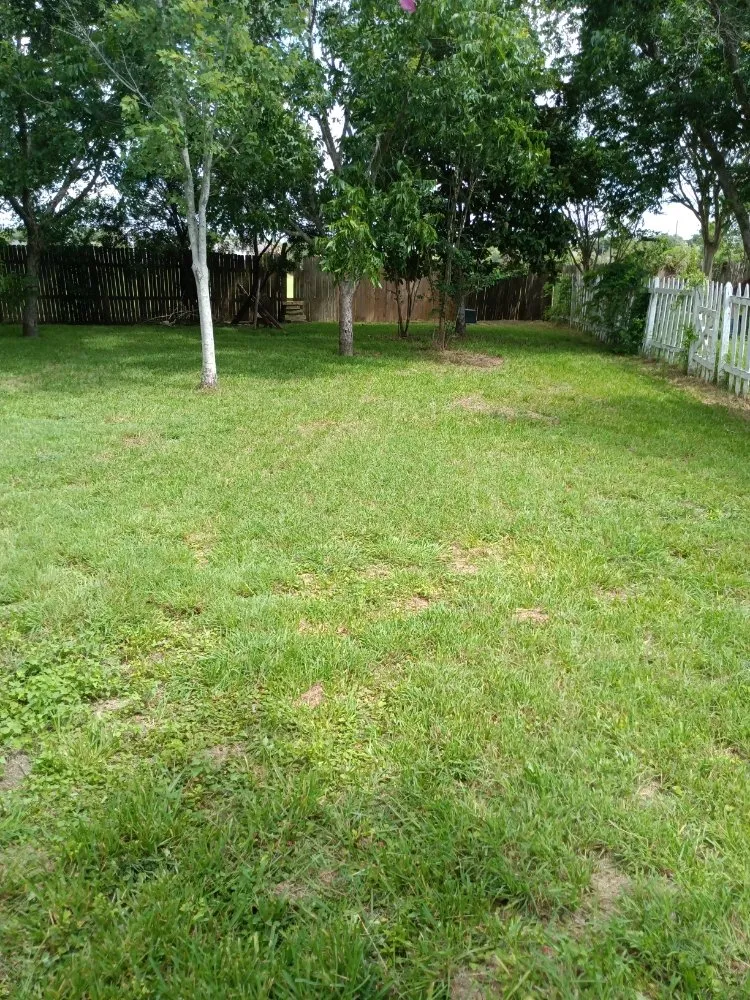 Professional residential landscaping for homes in Houston, TX by Iopez Landscaping