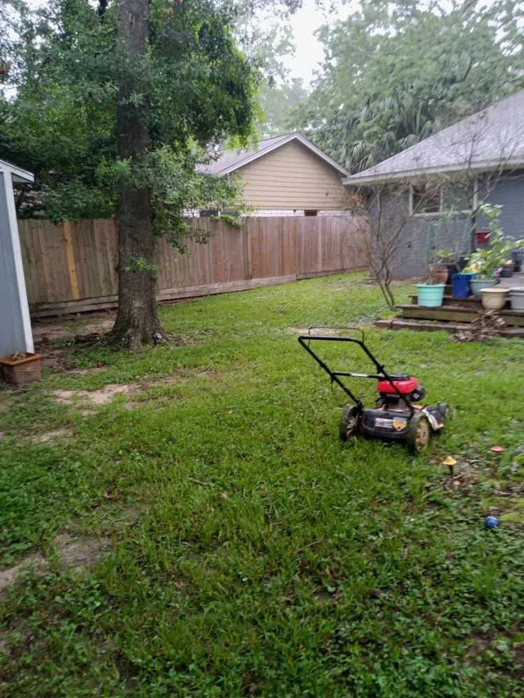 Expert landscaping services experts serving Houston, TX - Iopez Landscaping