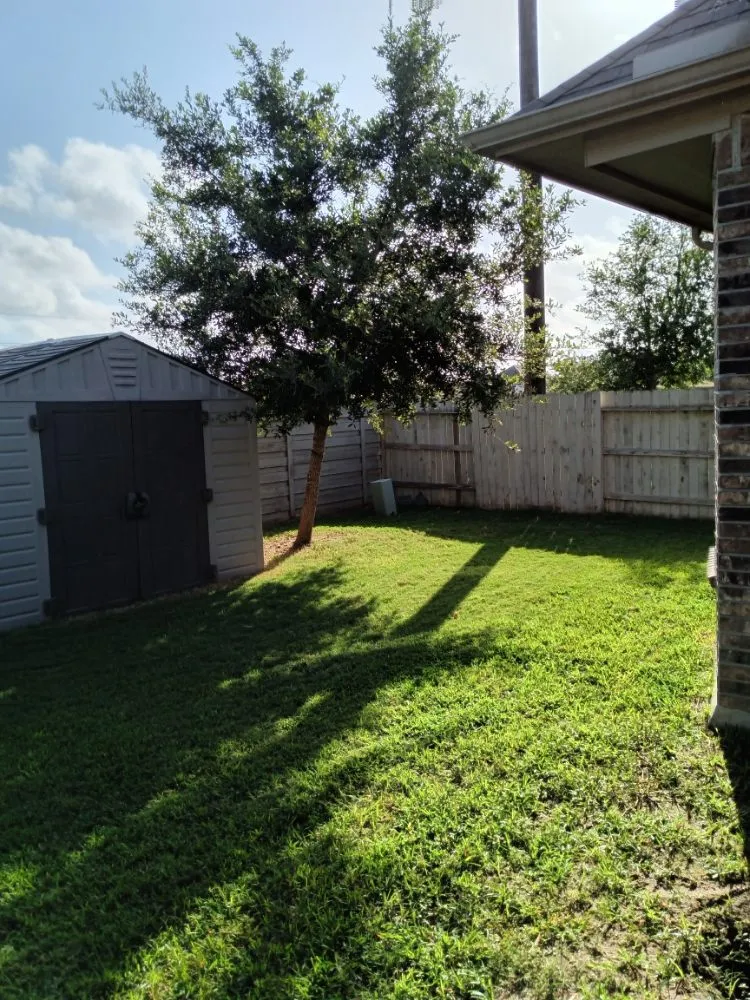 Affordable residential landscaping near you across Houston, TX - Iopez Landscaping