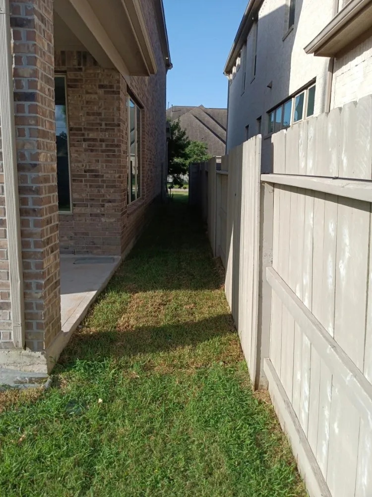 Expert yard cleanup service experts serving Houston, TX - Iopez Landscaping