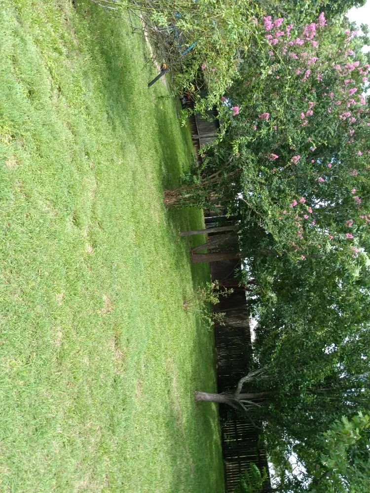 Affordable garden landscaping in Houston, TX - Iopez Landscaping