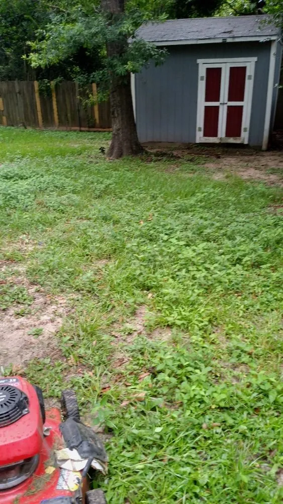 Trusted residential landscaping in Houston, TX by Iopez Landscaping