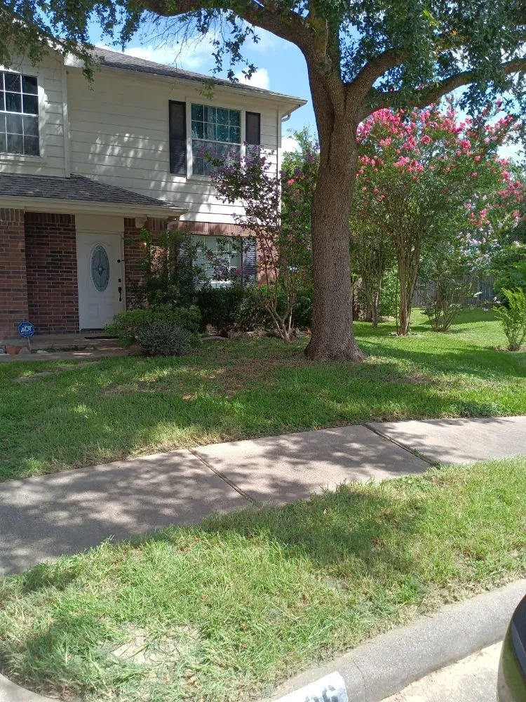 Custom yard maintenance for outdoor upgrades across Houston, TX - Iopez Landscaping