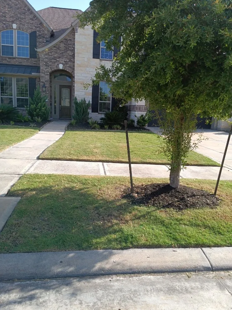 Expert lawn mowing service for residential properties in Houston, TX by Iopez Landscaping