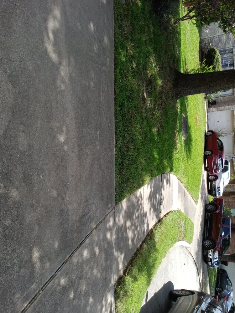 Custom residential landscaping for outdoor upgrades in Houston, TX by Iopez Landscaping