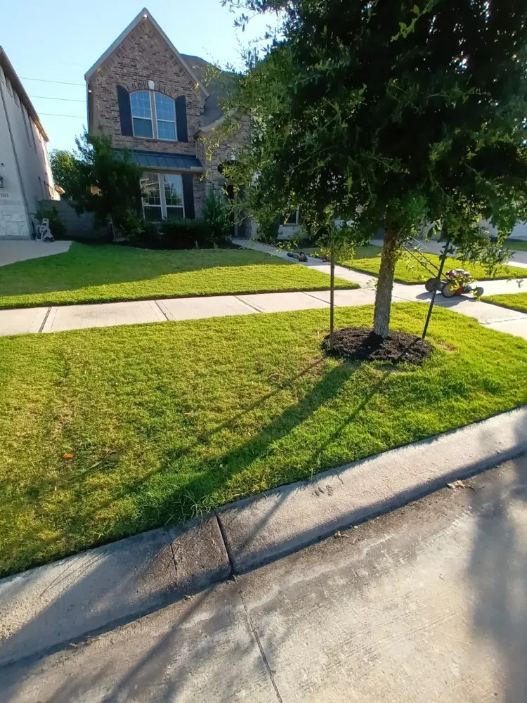 Affordable residential landscaping experts serving Houston, TX - Iopez Landscaping