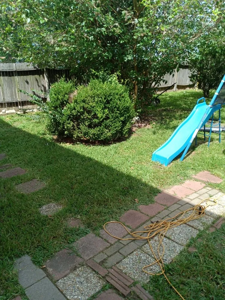 Professional landscaping services in Houston, TX by Iopez Landscaping