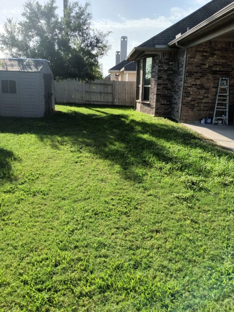 Top-rated landscape design in Houston, TX by Iopez Landscaping