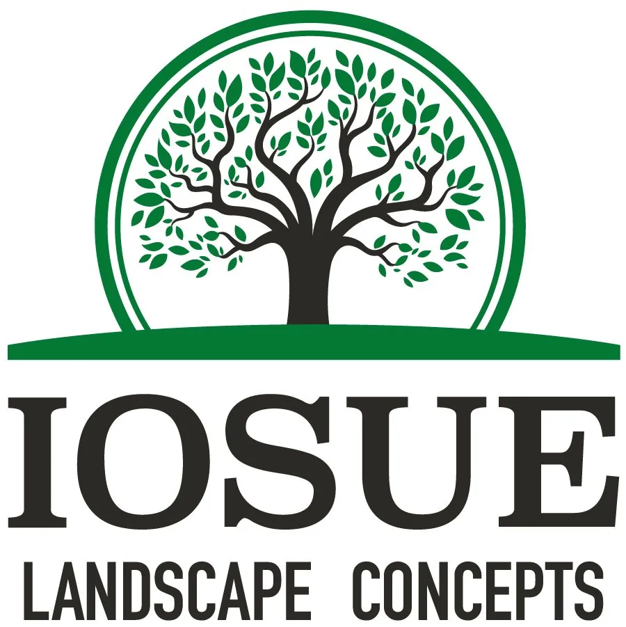 Custom residential landscaping experts serving Lyndhurst, OH - Iosue Landscape Concepts
