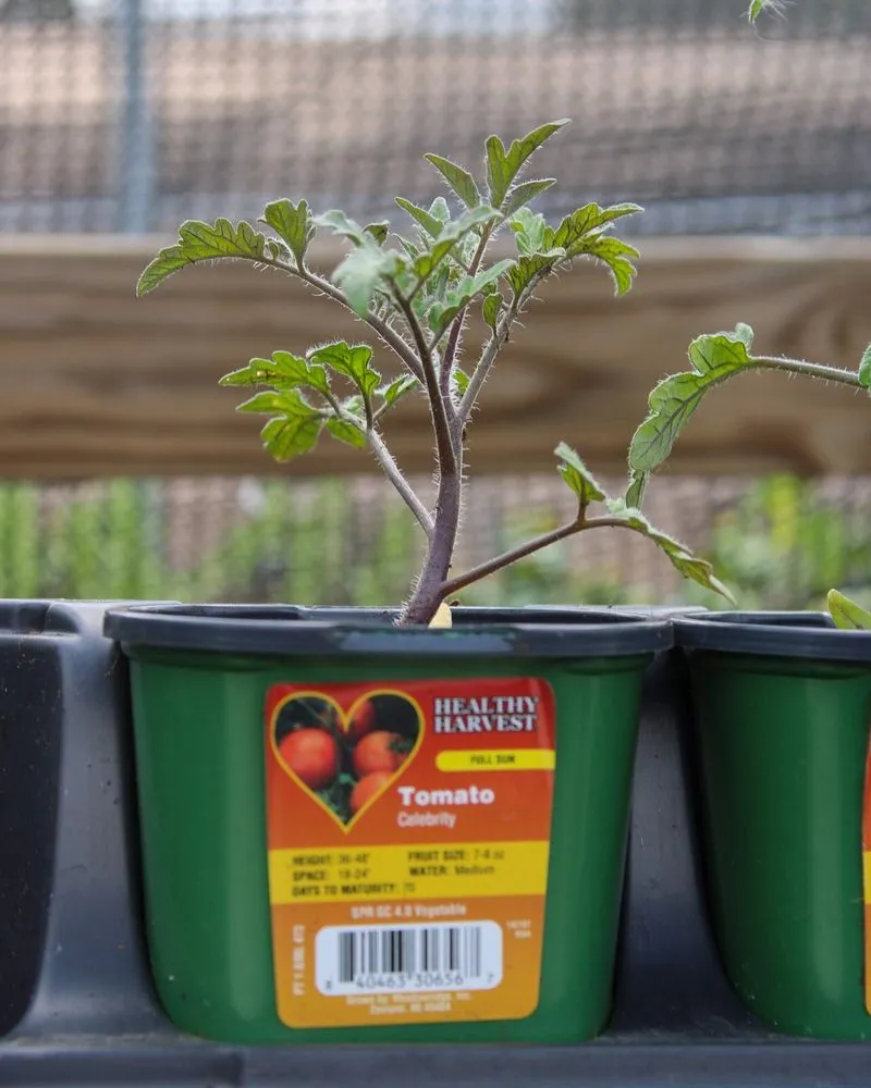 Reliable garden landscaping in Iowa City, IA by Iowa City Landscaping & Garden Center