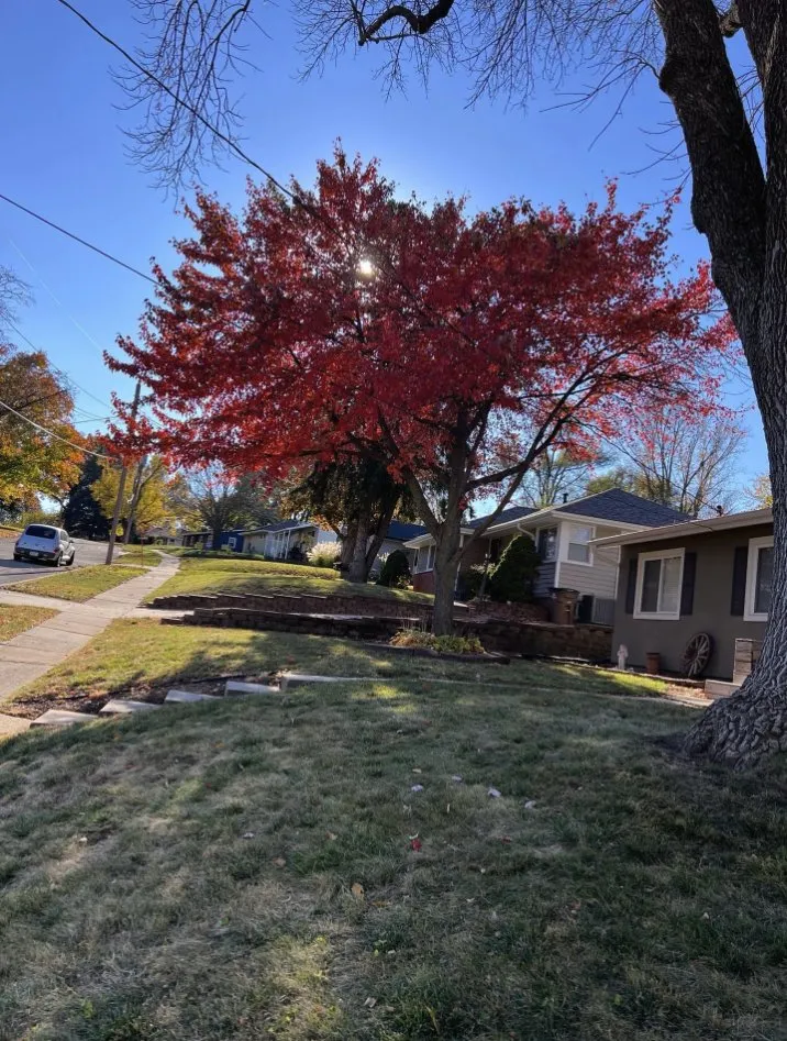 Affordable landscape installation in West Des Moines, IA - Iowa Green Outdoors