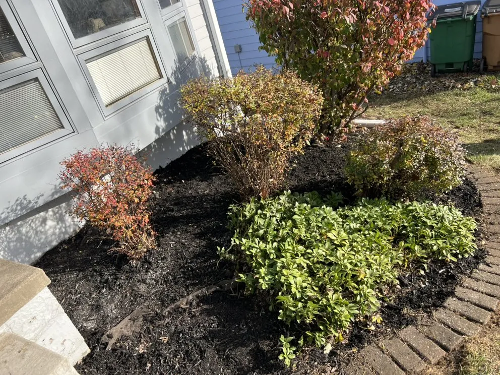 Trusted residential landscaping for outdoor upgrades across West Des Moines, IA - Iowa Green Outdoors