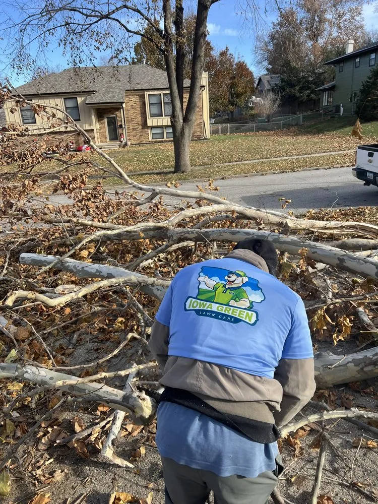 Reliable residential landscaping for residential properties in West Des Moines, IA by Iowa Green Outdoors