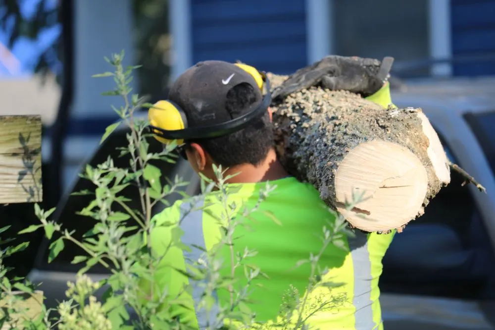 Top-rated lawn mowing service for residential properties across Iowa City, IA - Iowa Landscape
