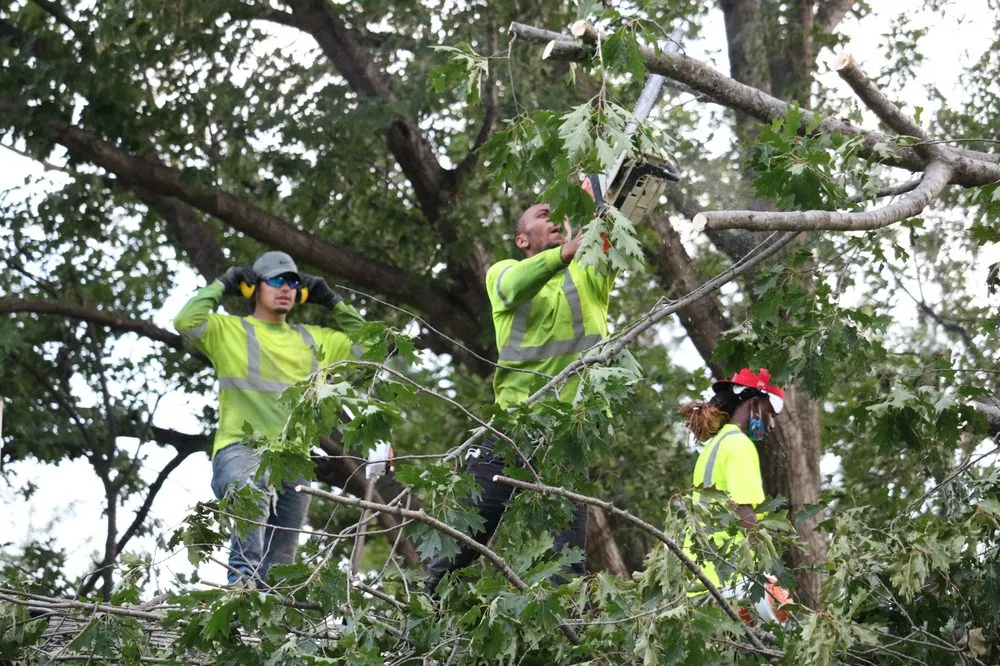 Top-rated yard maintenance in Iowa City, IA - Iowa Landscape