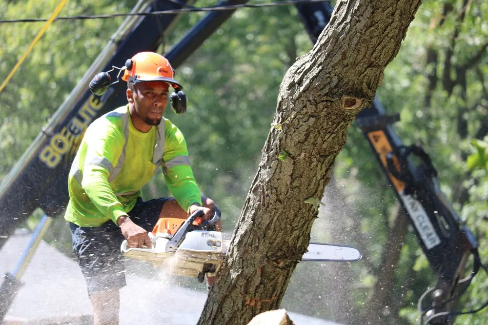 Professional lawn mowing service for year-round maintenance in Iowa City, IA by Iowa Landscape