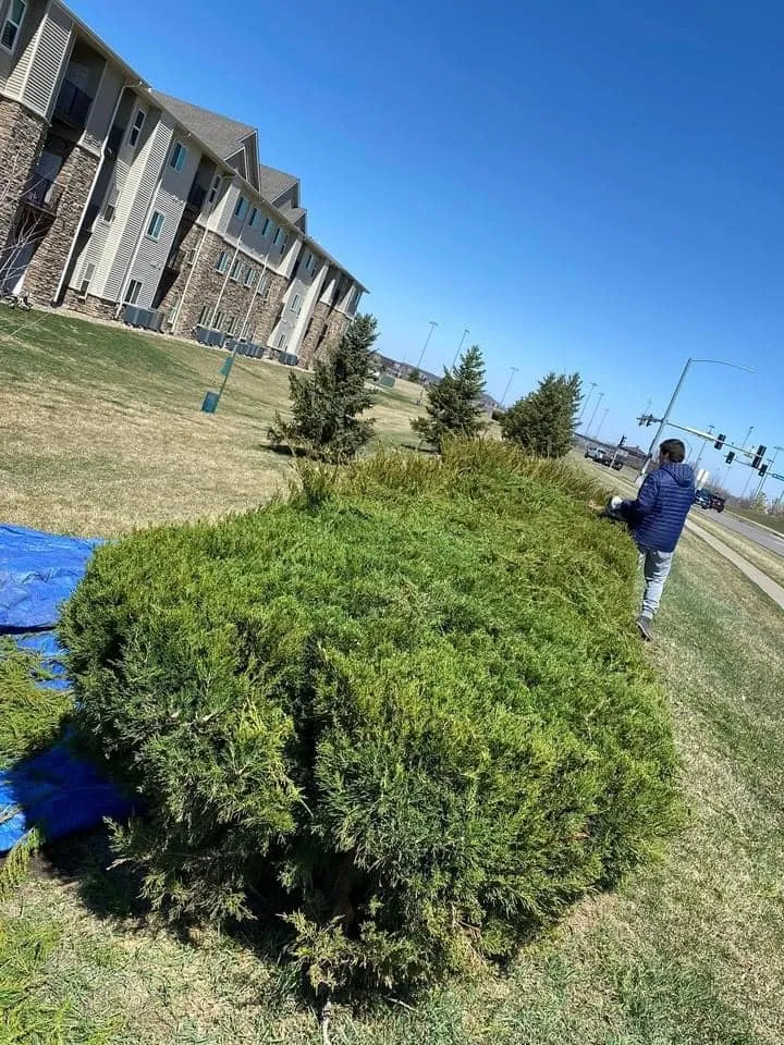 Top-rated lawn mowing service with custom design in Des Moines, IA by Iowa Lawn & Landscape