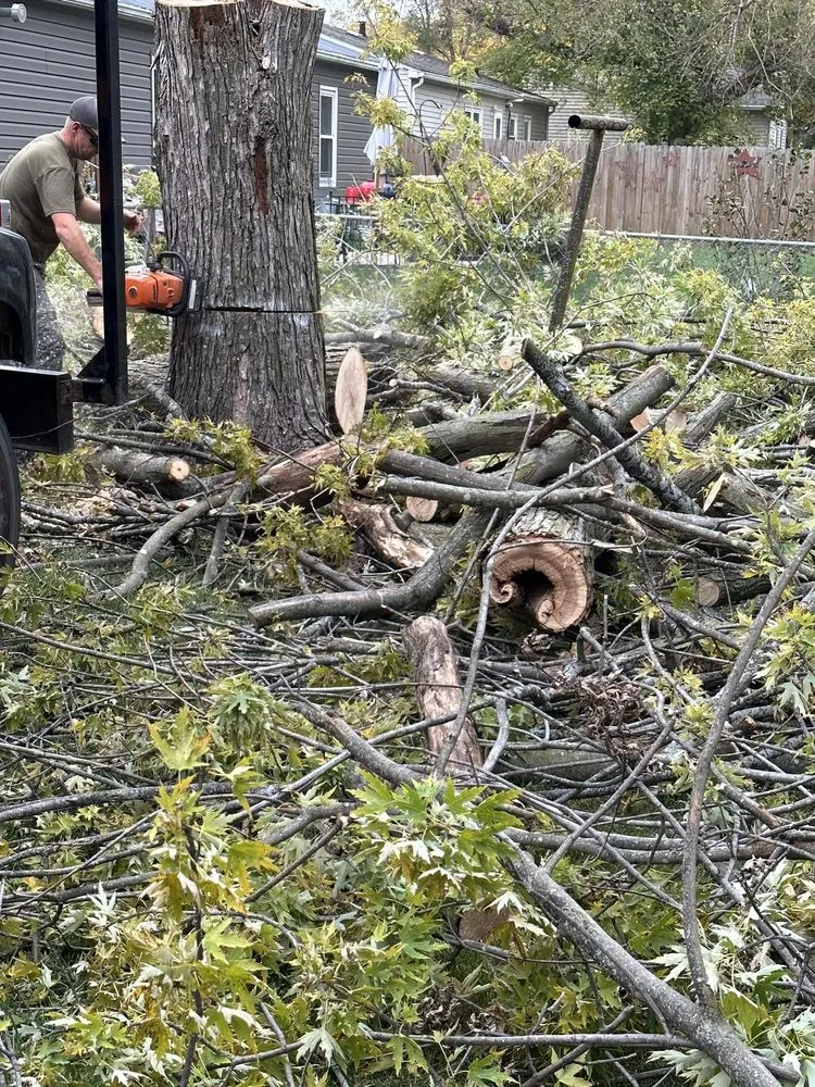 Expert garden landscaping for homes in Des Moines, IA by Iowa Lawn & Landscape