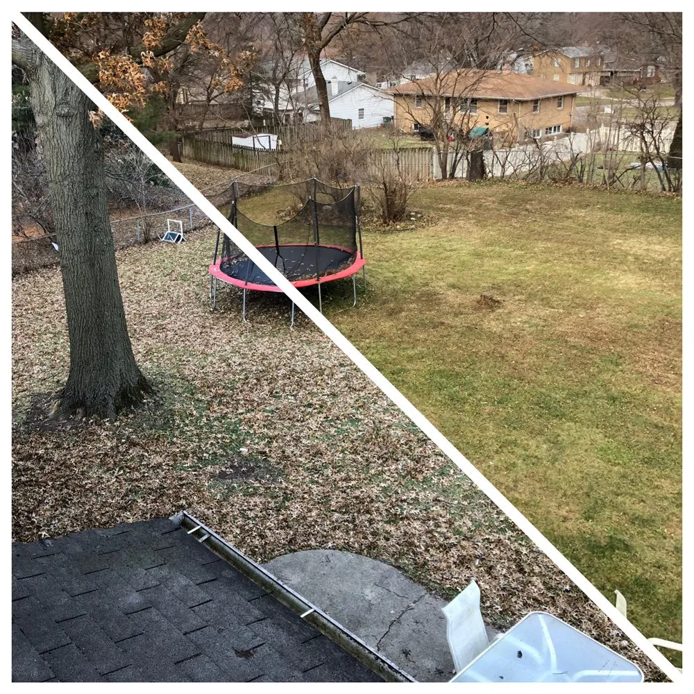 Top-rated lawn care service experts serving Des Moines, IA - Iowa Lawn Pro