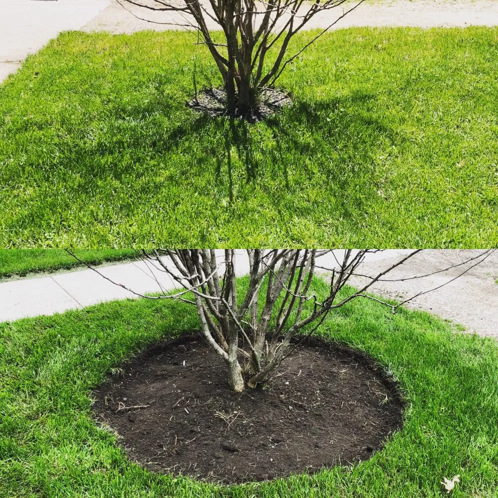 Top-rated yard maintenance for year-round maintenance across Des Moines, IA - Iowa Lawn Pro