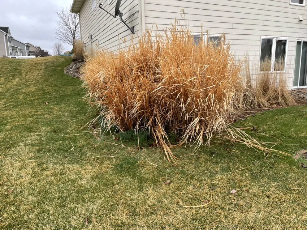 Reliable residential landscaping in Des Moines, IA by Iowa Lawn Pro