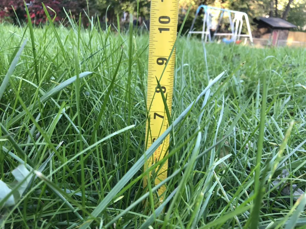 Top-rated landscaping services with custom design across Des Moines, IA - Iowa Lawn Pro