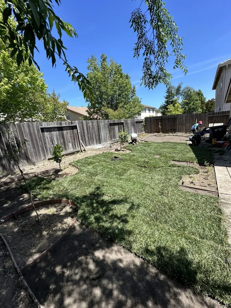 Top-rated residential landscaping in Carmichael, CA by IP Landscape