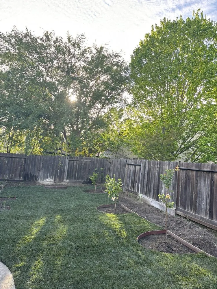 Affordable landscape design in Carmichael, CA by IP Landscape