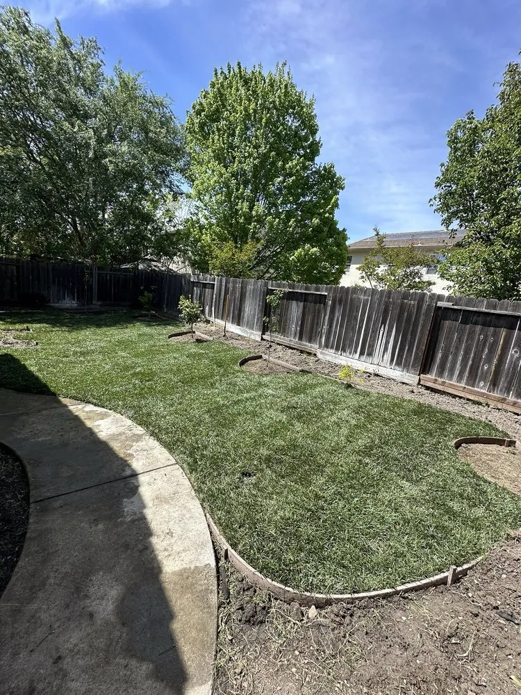 Reliable outdoor landscaping in Carmichael, CA - IP Landscape